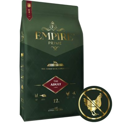 Zatrucie pokarmowe u psa - Empire jedzenie
