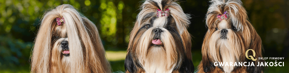 karma dla szczeniaka Shih tzu
